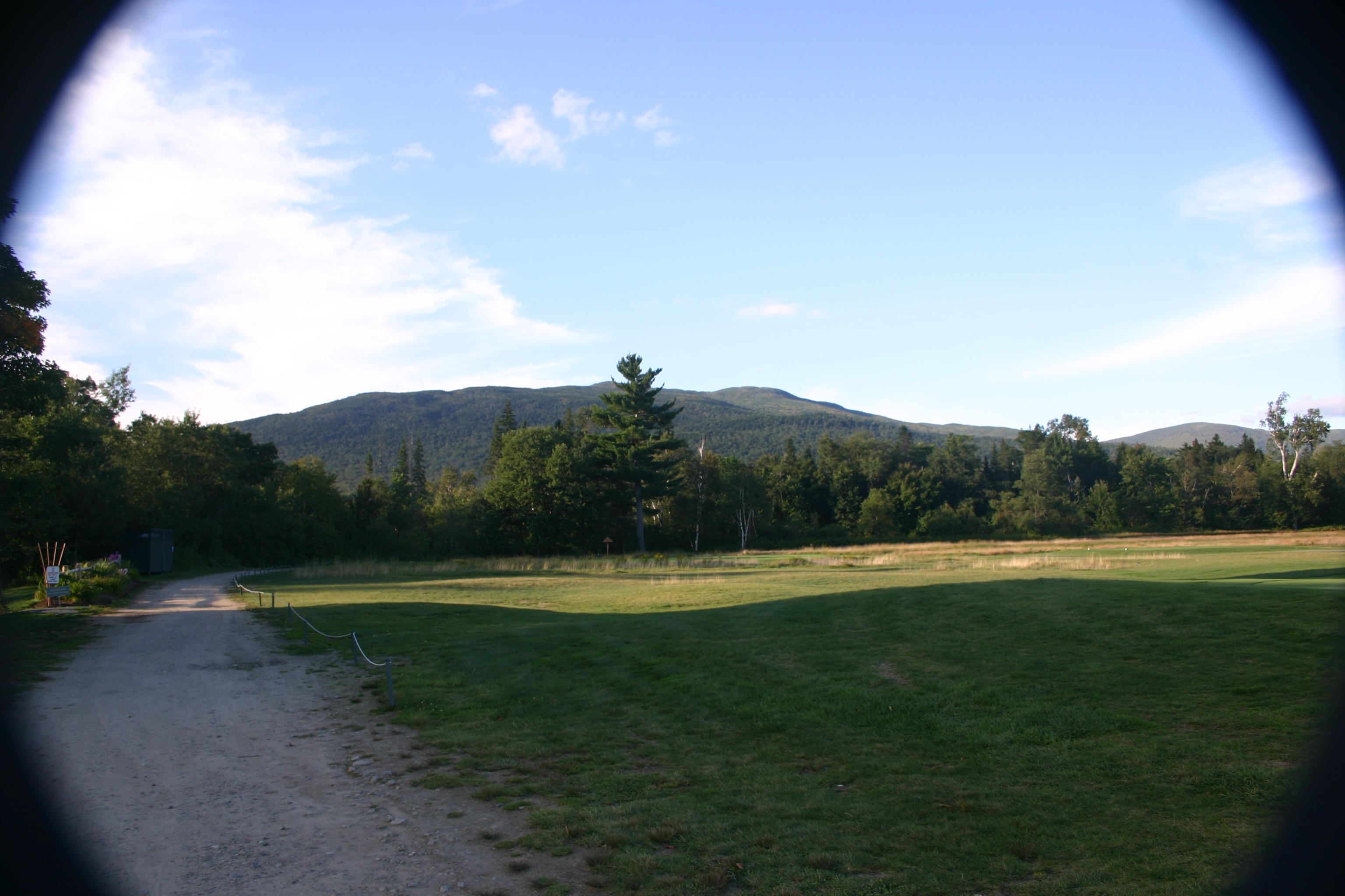 picture 42.